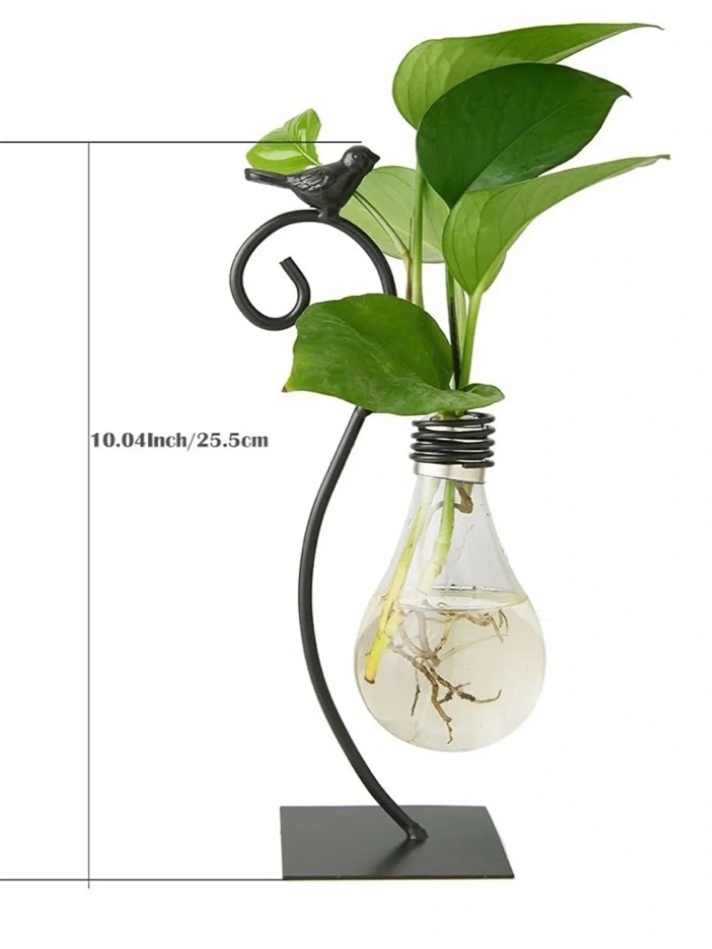 Desktop Glass Planter Hydroponics Vase,Planter Bulb Vase with Holder